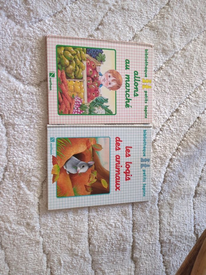 Lot de 2 livres "bibliothèque petits lapins"