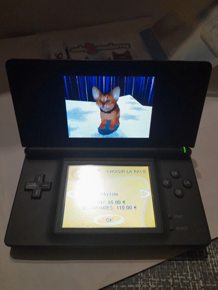 Cats Academy Nintendo DS - photo numéro 12