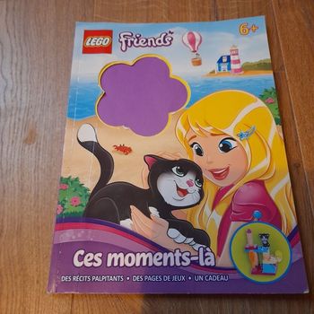 Livre d'activité et d'histoire lego friends