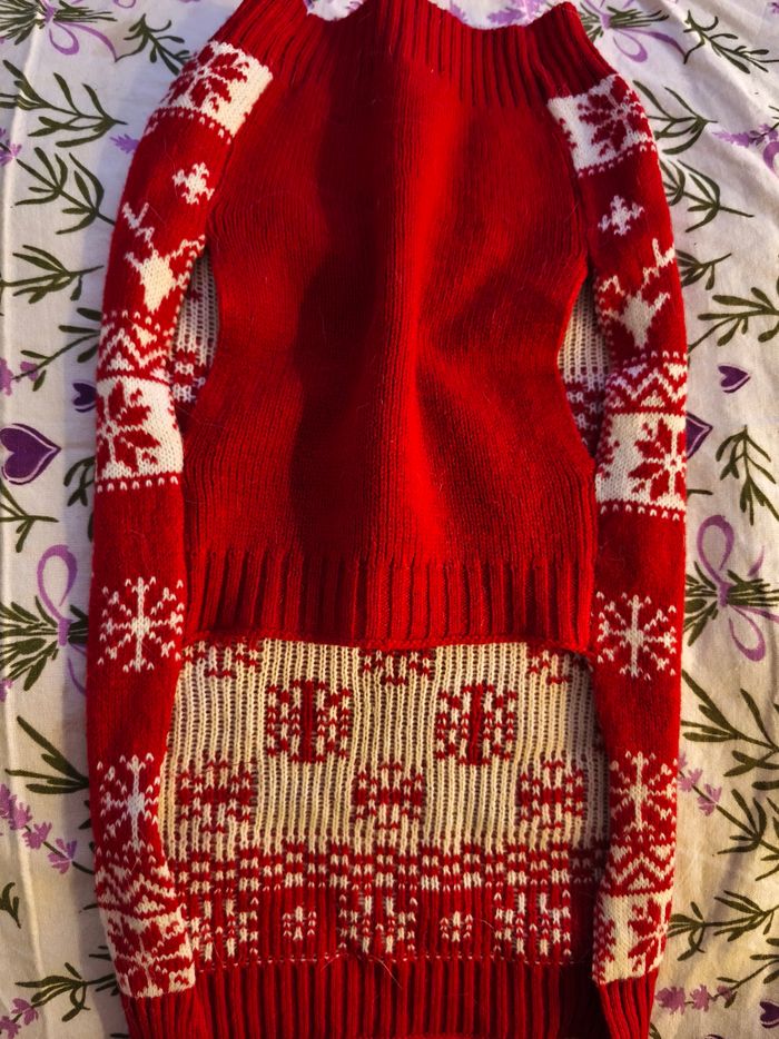 Pull fin chien - photo numéro 2