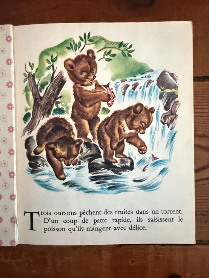 Livre ancien vintage Boum et ses frères ours les albums roses Hachette Pierre Probst Caroline - photo numéro 3