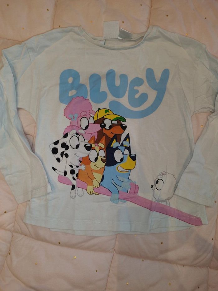 Haut bluey - photo numéro 2