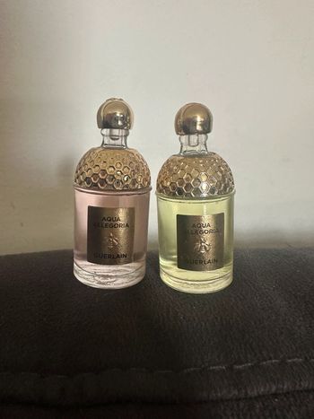 Miniature de parfum de collection – aqua allegoria – 7,5 ml