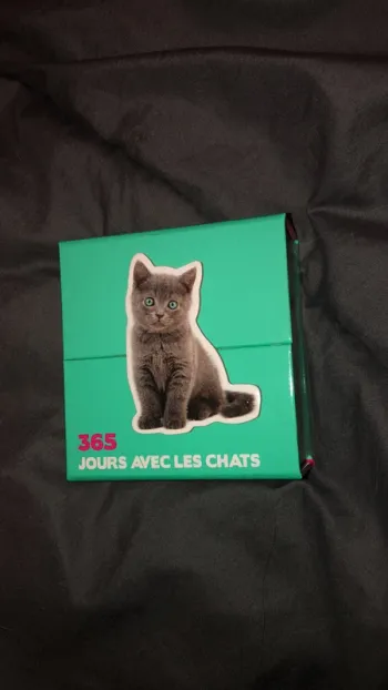 365 jours avec les chats