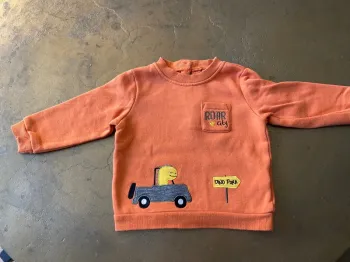 Pull dinosaure 12 mois