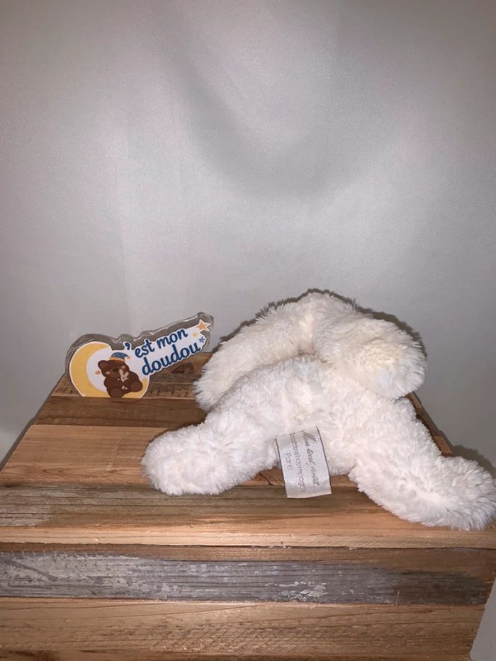 DDC105 doudou et compagnie lapin - photo numéro 2