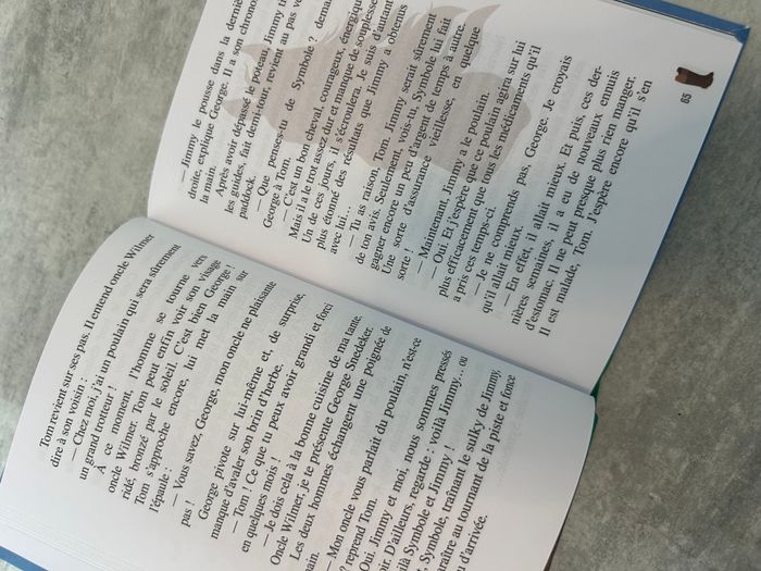 sur les traces de l'étalon noir livre bibliothèque verte - photo numéro 2