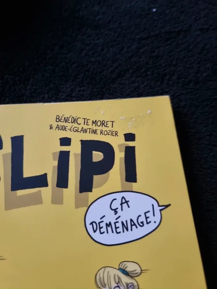 Slipi ça déménage - photo numéro 4