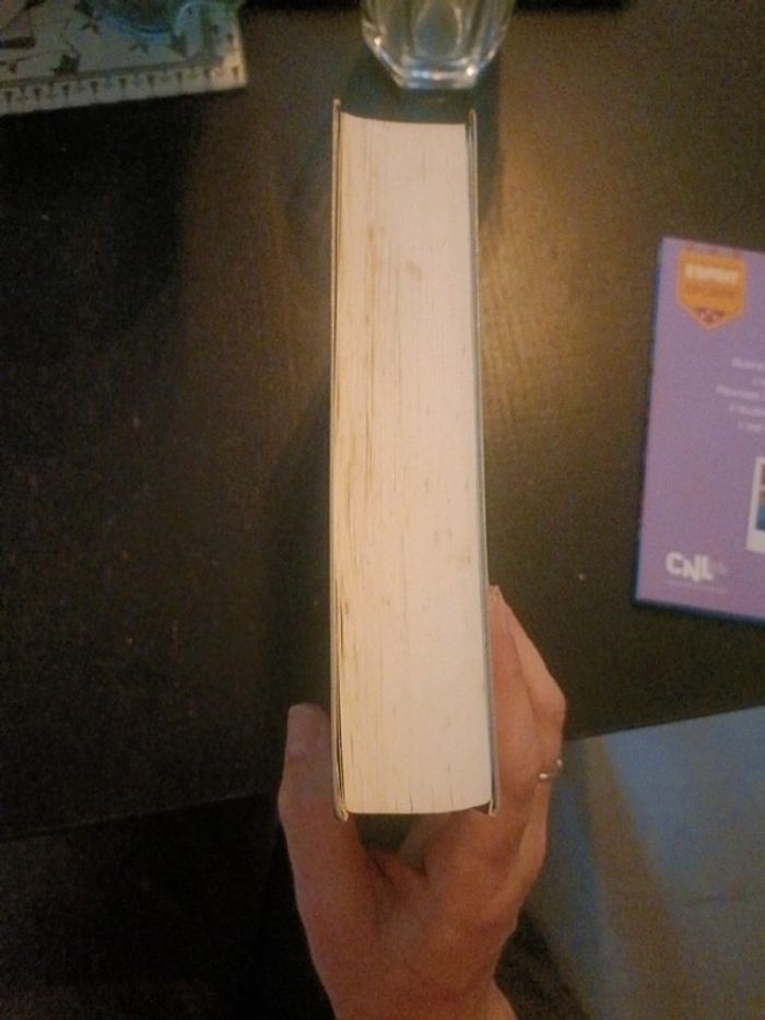 Livre Anne d avonlea - photo numéro 5