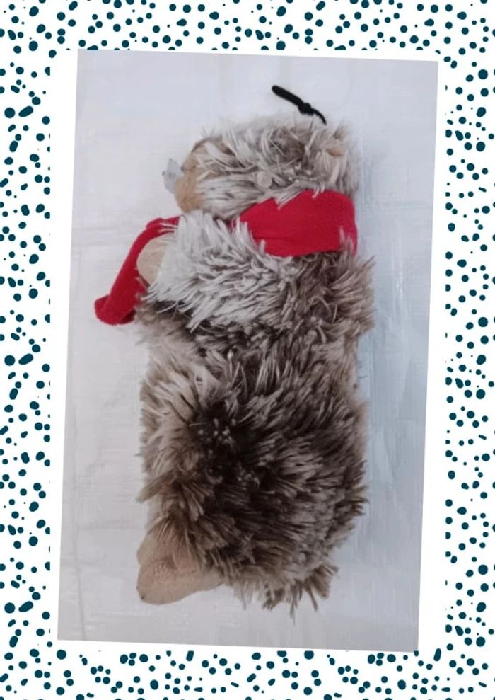 Marmotte - photo numéro 2