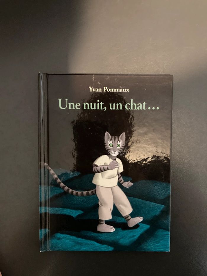 Une nuit un chat