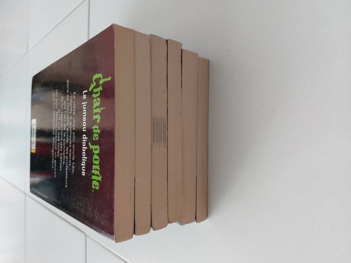 Lot de 6 livres chair de poule RL Stine - photo numéro 4
