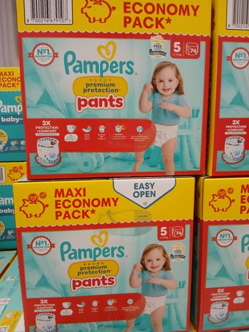 222 couches t5  premium pants