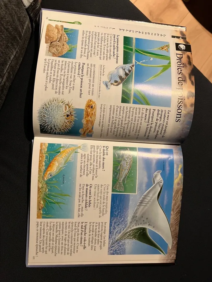 Livre imagia animaux – Éditions Fleurus - photo numéro 5