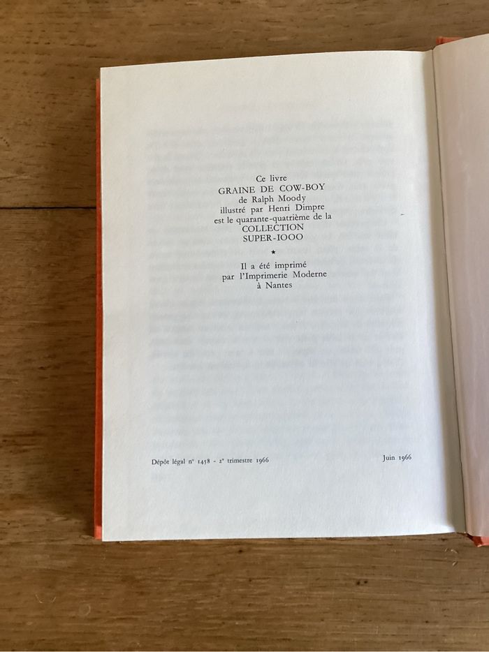 Livre « graine de cow boy » - photo numéro 4