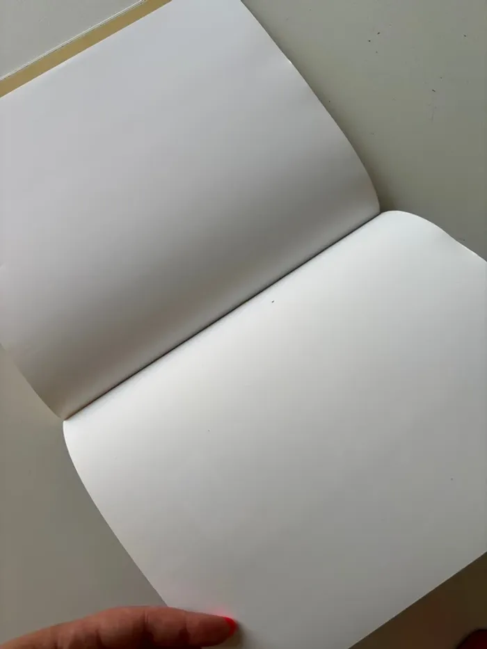 Livre sassou - photo numéro 3