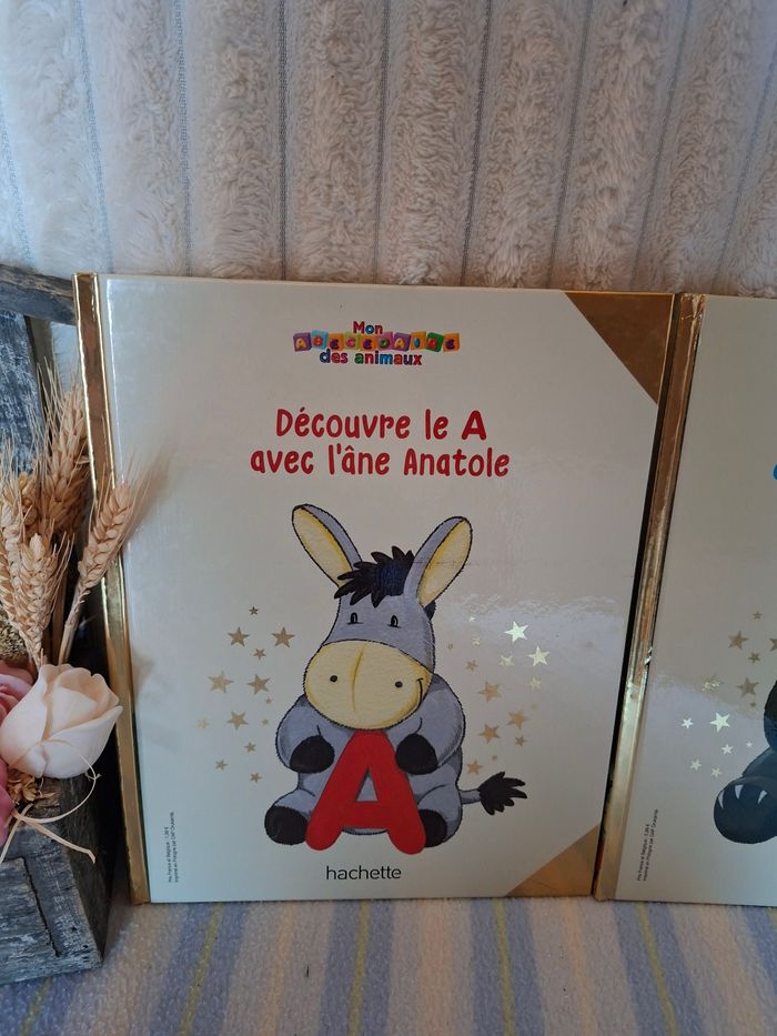 Livres éducatif A et B pour enfants - photo numéro 2