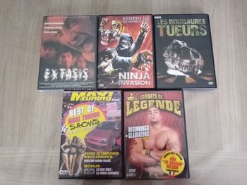 lot 5 dvd tuning, les dinosaures tueurs, extasis, ninja invasion, combats de légende