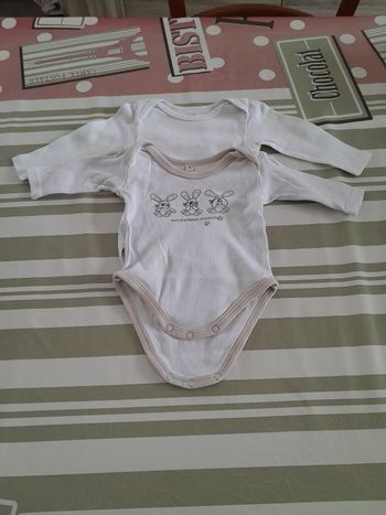 Lot de 2 bodys bébé garçon Taille 3mois