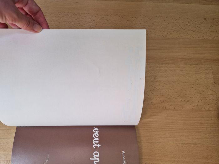 Souriceau veut apprendre à lire - photo numéro 4