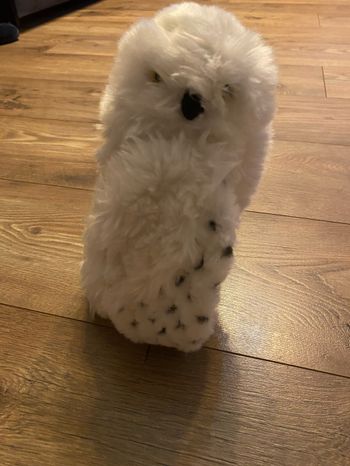 Peluche Edwige Harry Potter