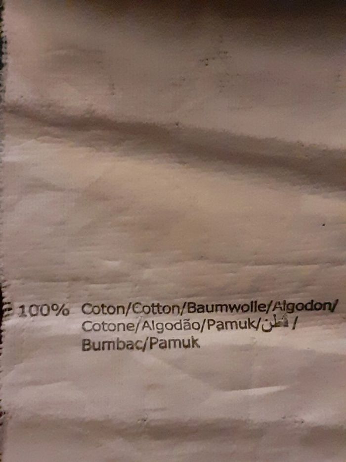 Bermuda - Lisa Rose - photo numéro 5