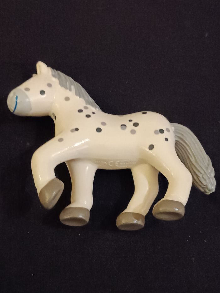 Cheval Pipa Haba - photo numéro 3