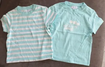 Lot 2 tee-shirts 9 mois