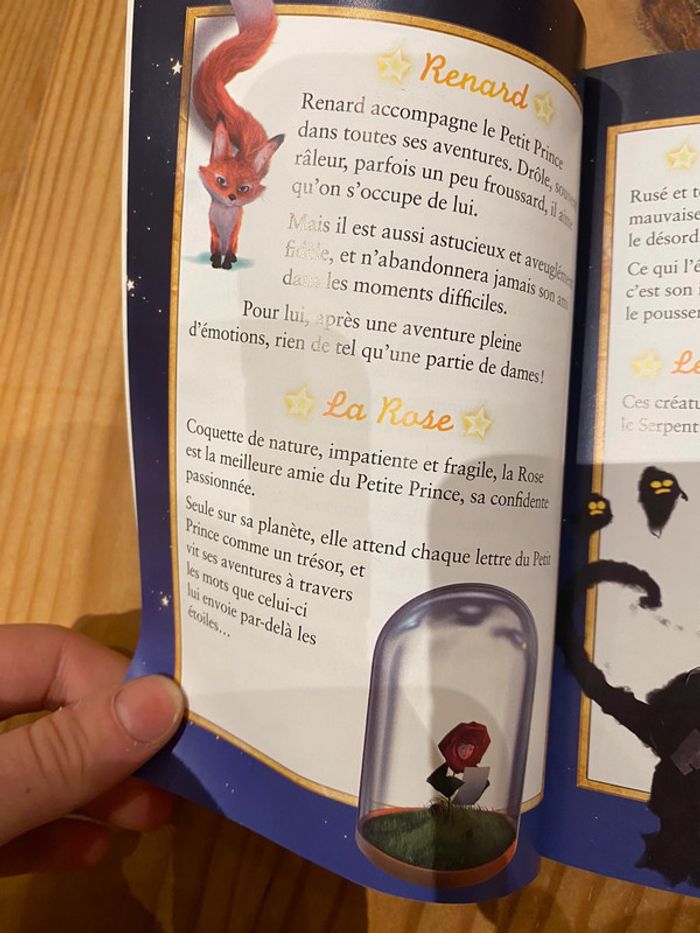Livre le petit prince la planète du temps - photo numéro 8
