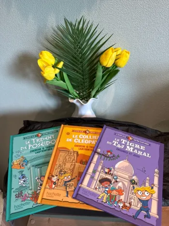 Lot de 3 livres McDo neuf