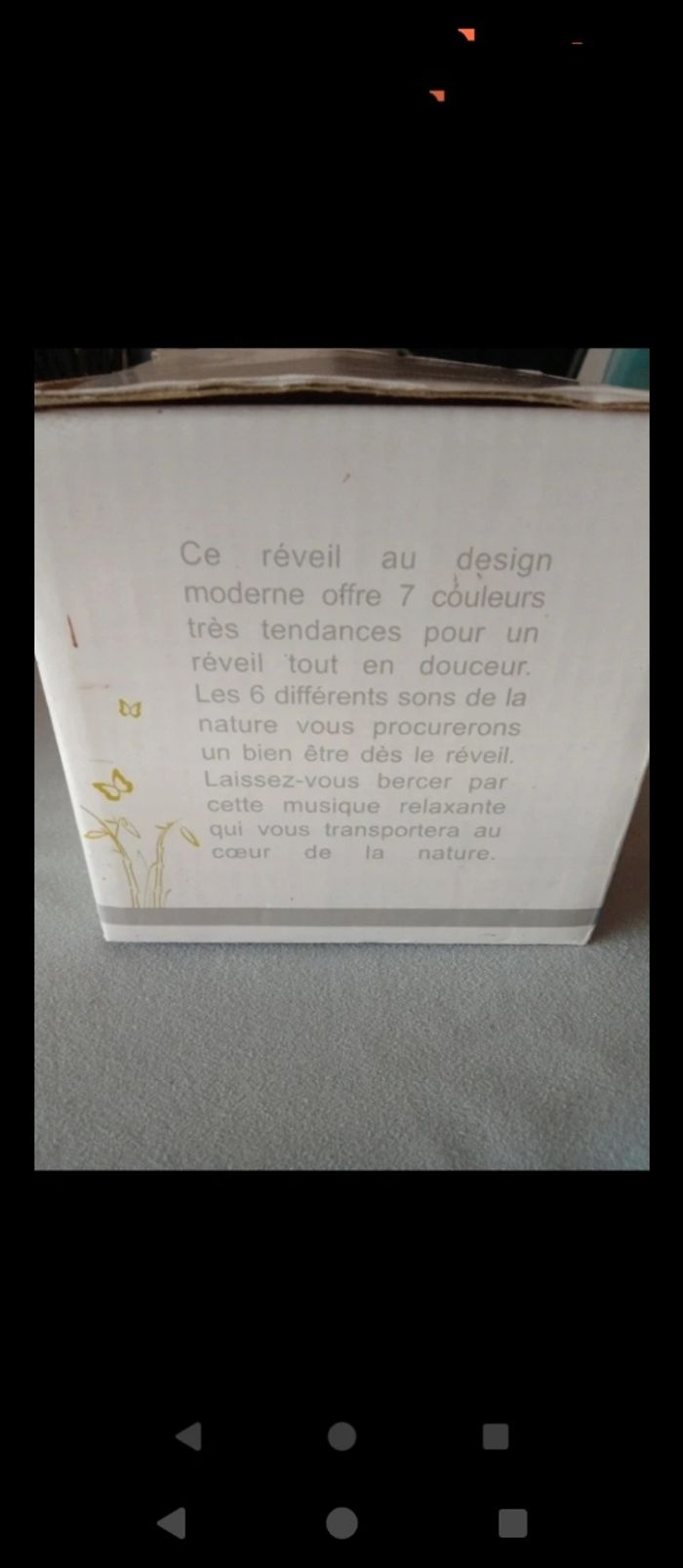 Réveil musicale - photo numéro 6