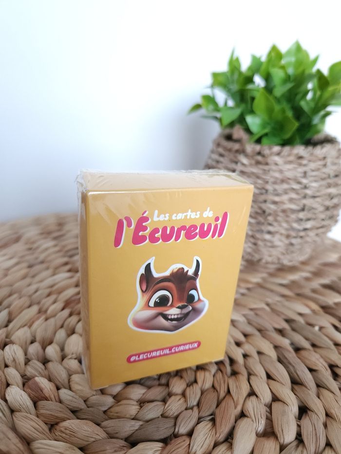 Jeu Les cartes de l'écureuil - photo numéro 2