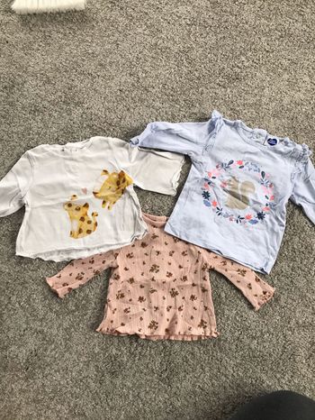 Lot tshirts manches longues