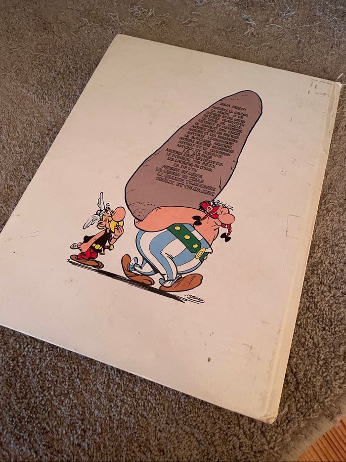 BD - Astérix et le chaudron - photo numéro 2