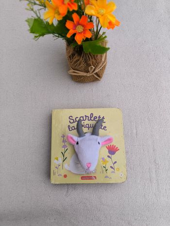 Livre Scarlett la biquette Casterman