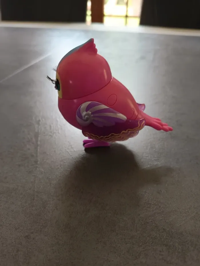 Vend oiseaux little live pet - photo numéro 4