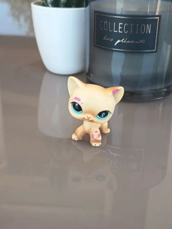 Littlest Pet Shop #816
Beige and tan short hair european cat