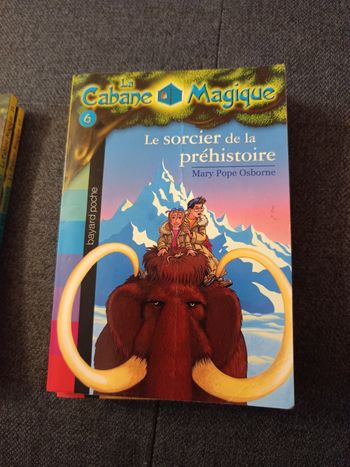 Le sorcier de la préhistoire (La Cabane Magique)