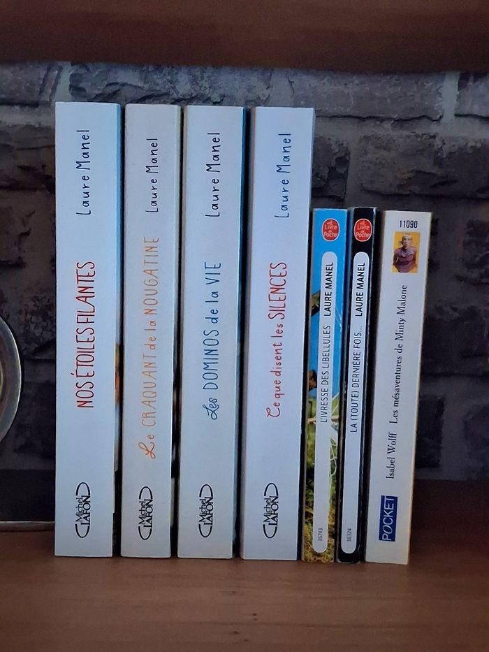 6 romans de Laure Manel - photo numéro 3
