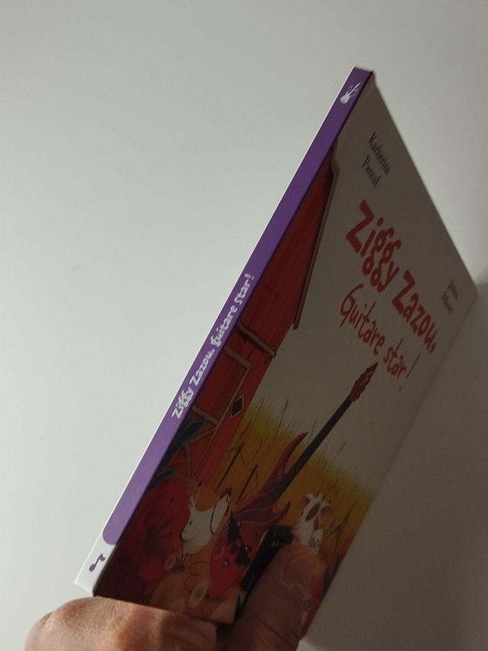 Livre illustré dès 6 ans Ziggy Zazou de Katherine Pancol - photo numéro 3