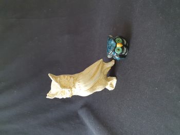 Lot de 2 statuettes chouette en pierre et céramique