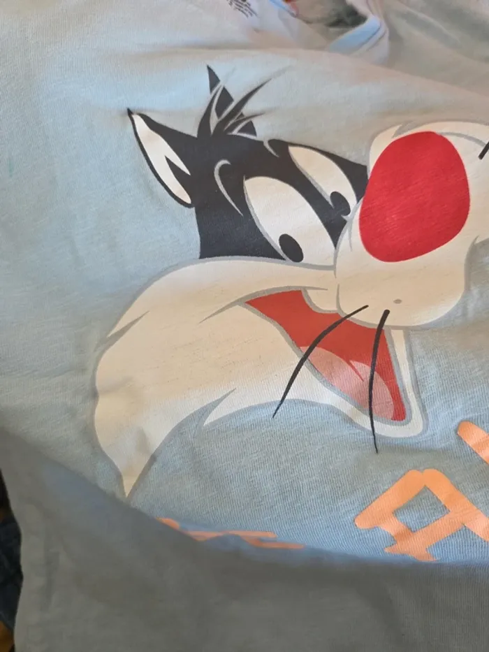 Tee shirt Looney tunes 6ans - photo numéro 5