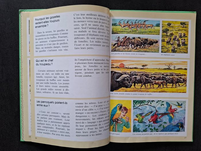 Lot de 2 livres questions/réponses sur les animaux en bon état - photo numéro 7