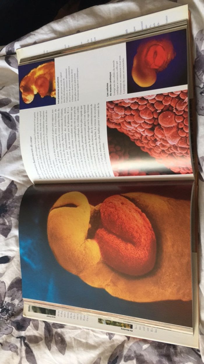 Livre Naître édition hachette - photo numéro 3