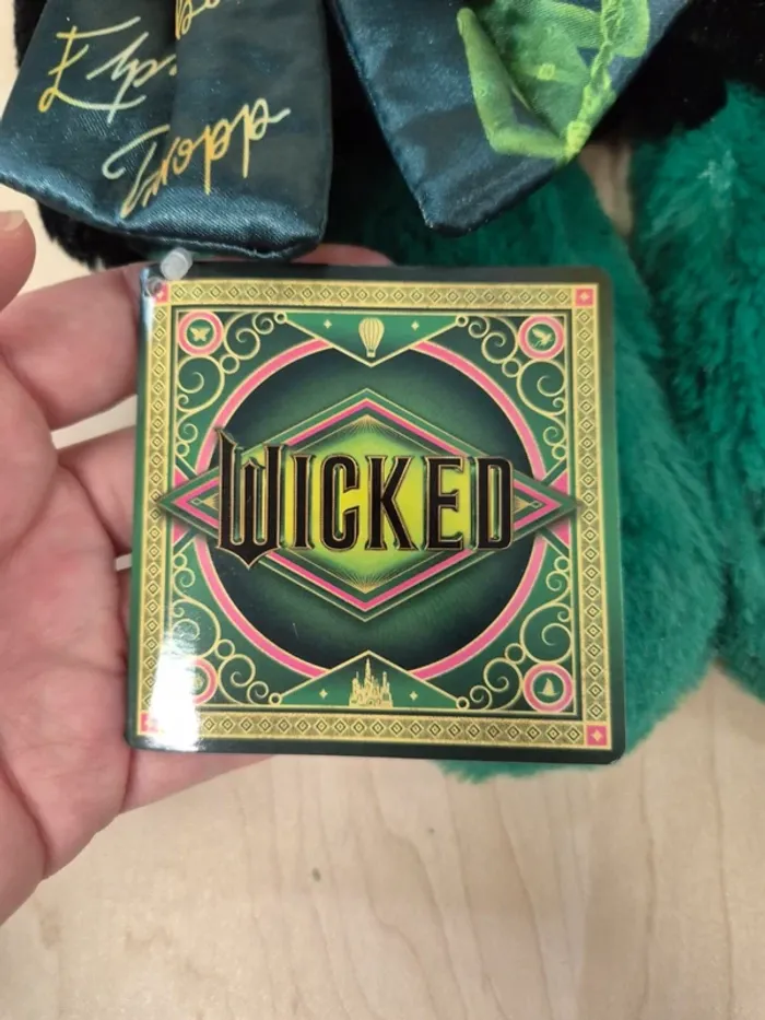 Pantoufles Wicked : Elphaba ver. - photo numéro 7