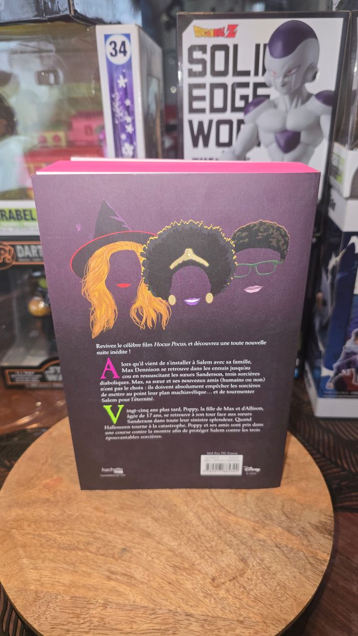 Livre roman hocus pocus - photo numéro 2