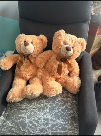 Nounours