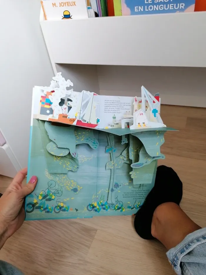 Livre pop up - photo numéro 2