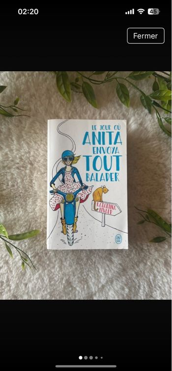 Le jour où Anita envoya tout balader par Katarina Bivald