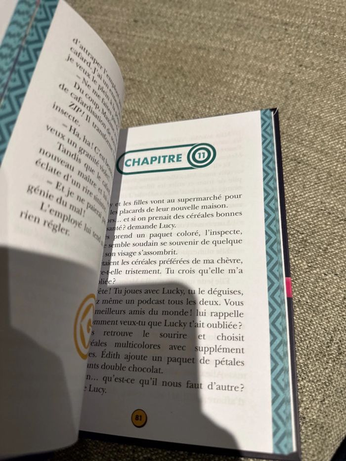 Livre moi moche et méchant 4 - photo numéro 3